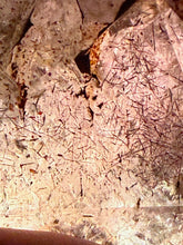 Load image into Gallery viewer, Harlequin Lepidchrosite in Quartz Point Specimen
