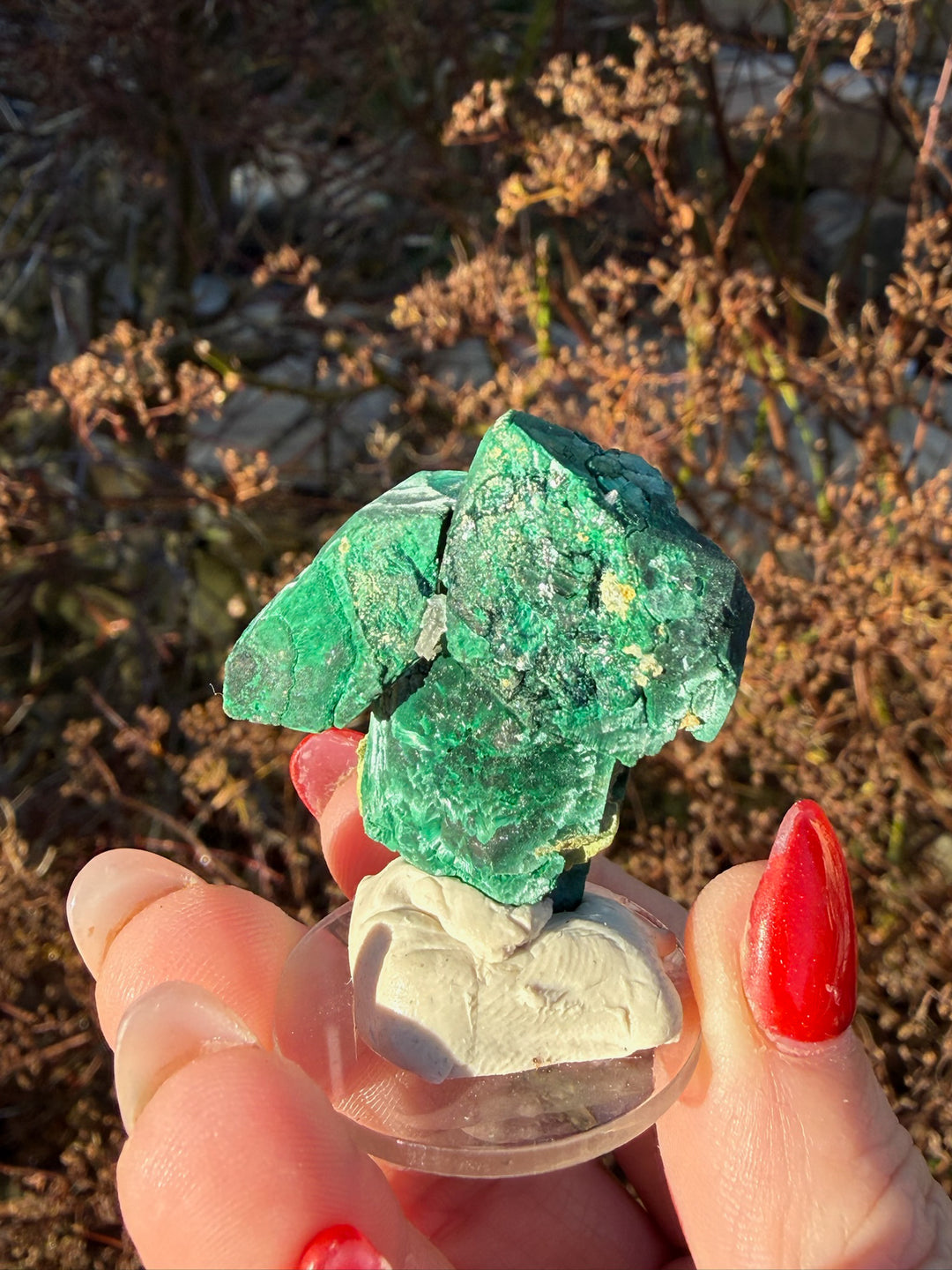 Malachite Pseudomorph After Azurite from Tsumeb