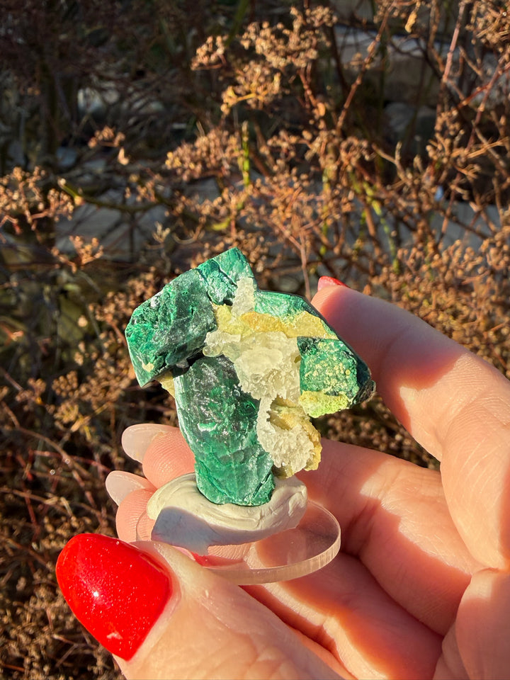 Malachite Pseudomorph After Azurite from Tsumeb