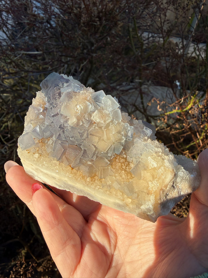 Blue Fluorite in Quartz from New Mexico