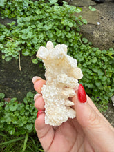 Load image into Gallery viewer, White Aragonite, Stalactite Specimen
