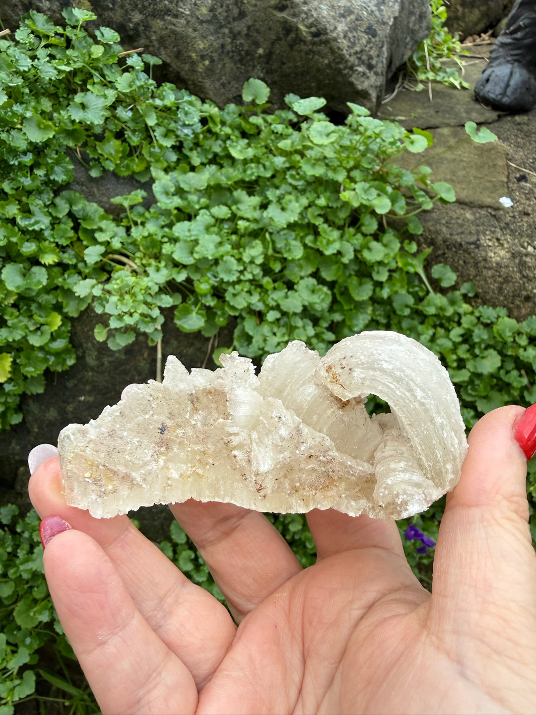 Rams Horn Gypsum Specimen from Guizhou
