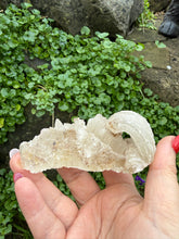 Load image into Gallery viewer, Rams Horn Gypsum Specimen from Guizhou
