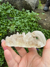 Load image into Gallery viewer, Rams Horn Gypsum Specimen from Guizhou
