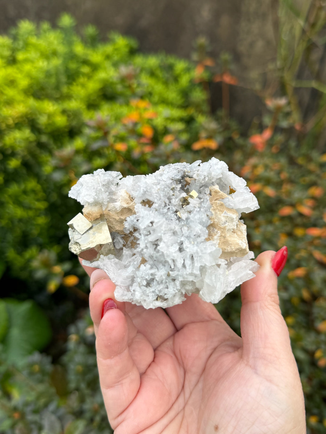 Pyrite and Quartz Specimen from Shangbao