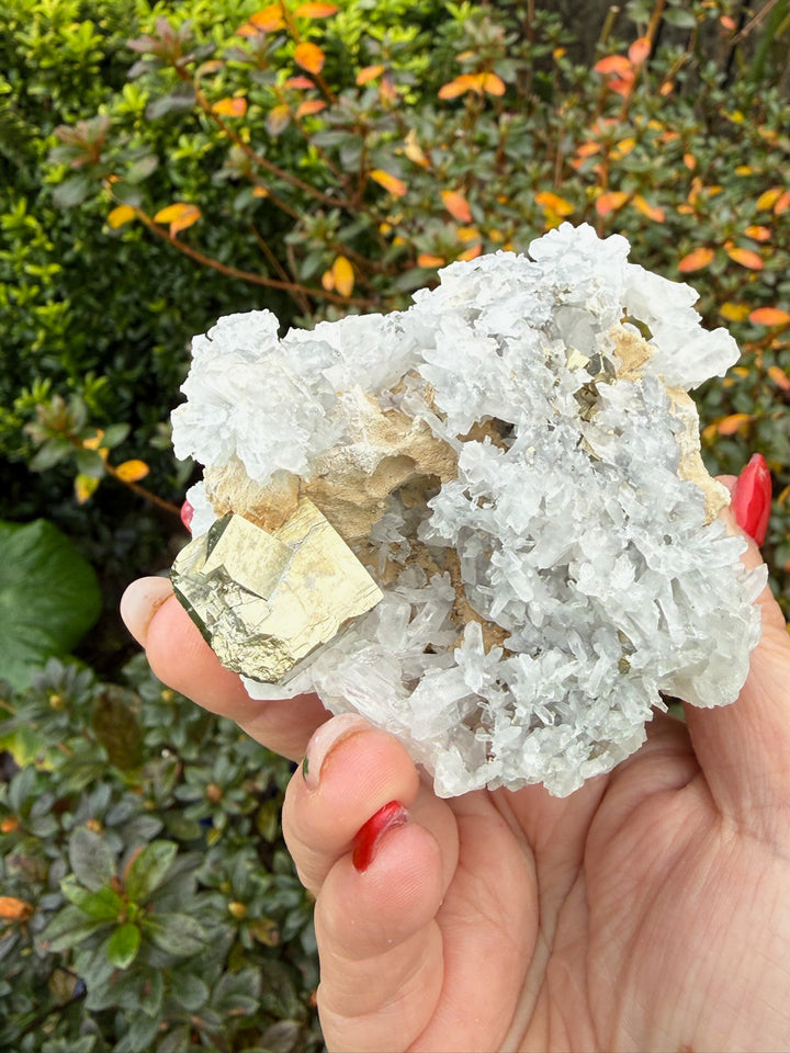 Pyrite and Quartz Specimen from Shangbao
