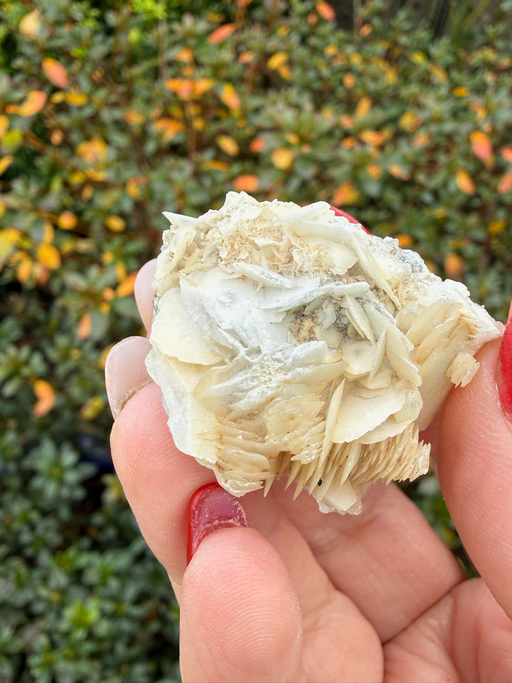 Calcite and Mica Specimen from Fujian