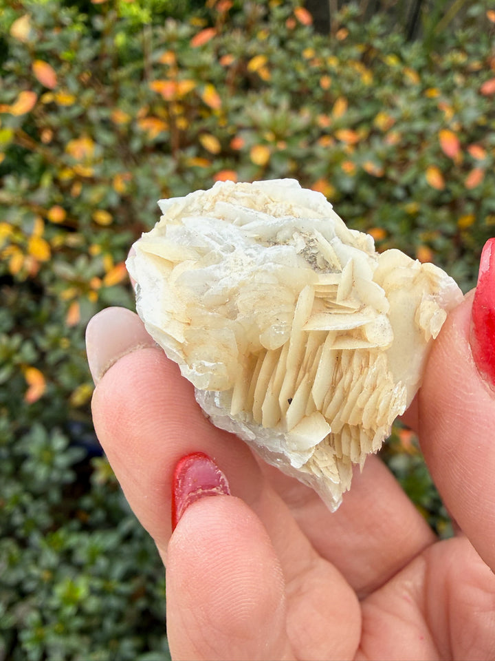 Calcite and Mica Specimen from Fujian