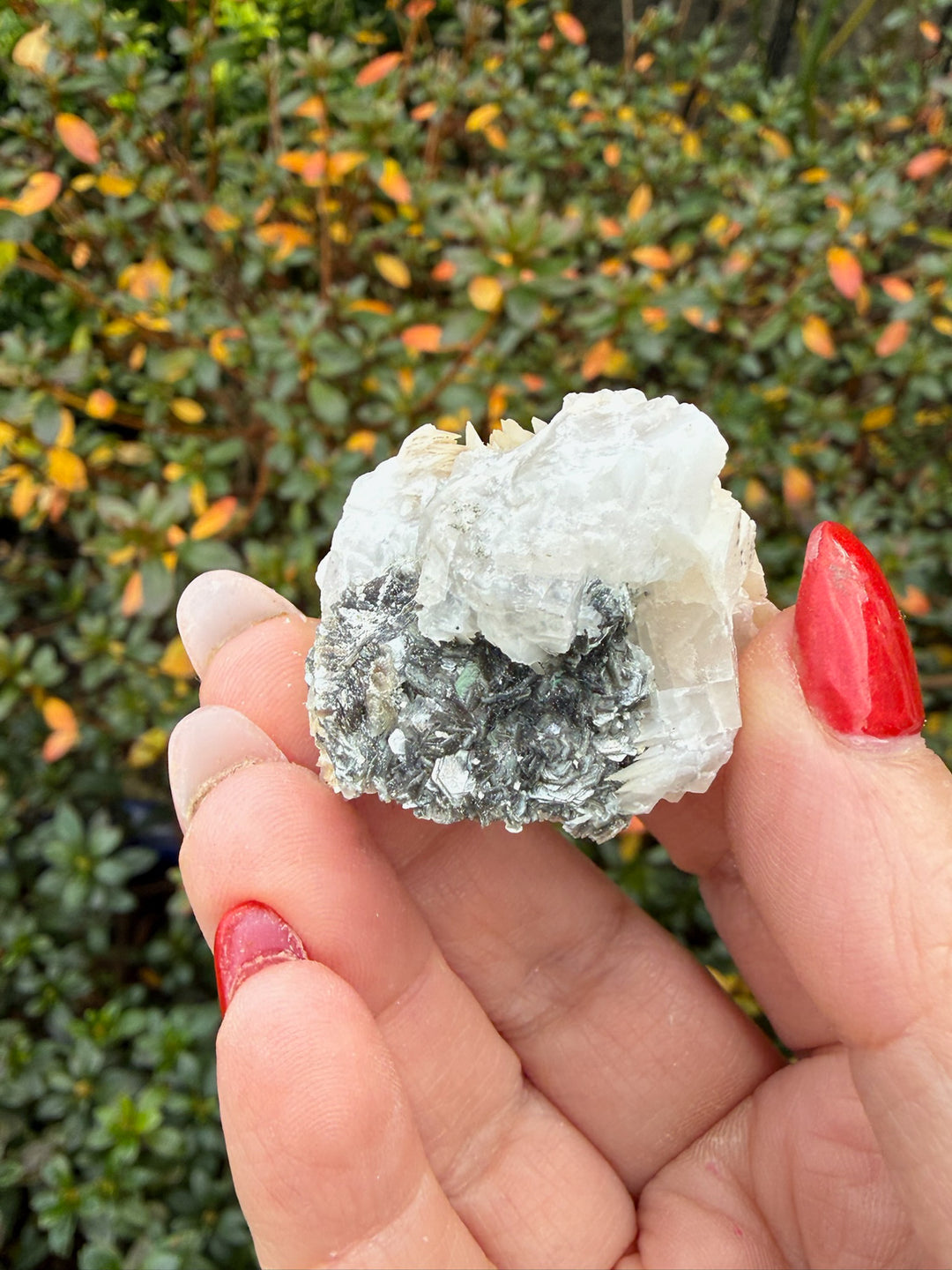 Calcite and Mica Specimen from Fujian