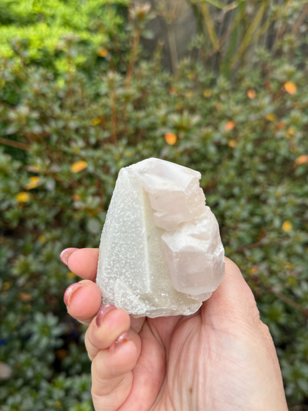 UV Reactive Pink Calcite on White Calcite Specimen from Fujian China