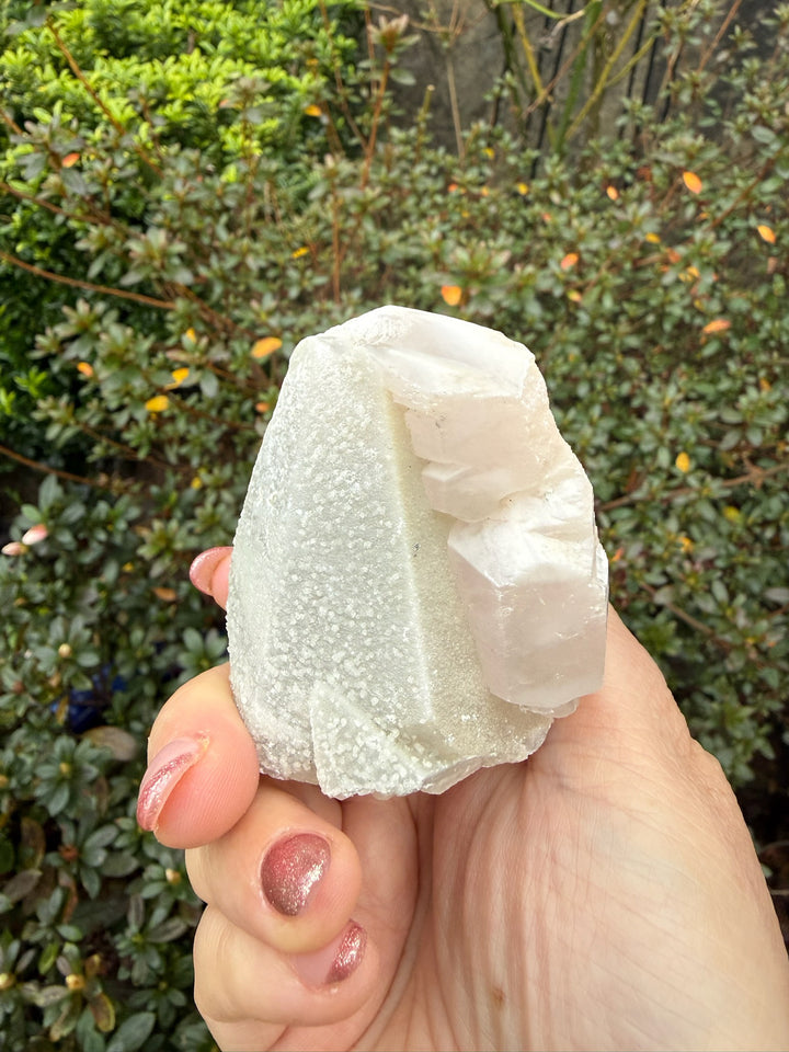 UV Reactive Pink Calcite on White Calcite Specimen from Fujian China
