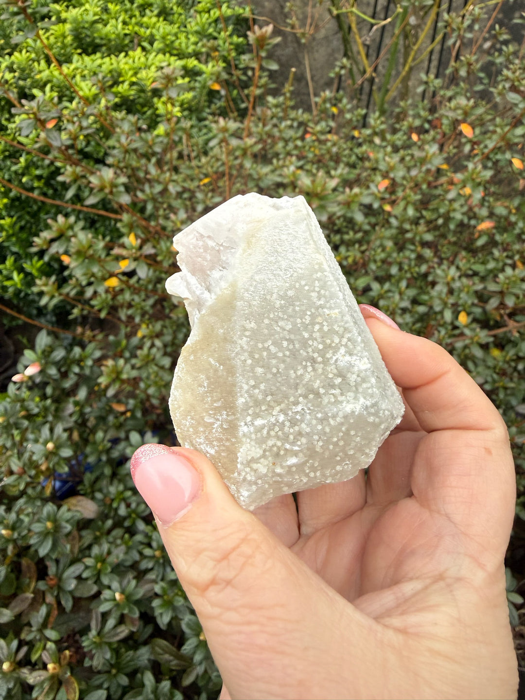 UV Reactive Pink Calcite on White Calcite Specimen from Fujian China