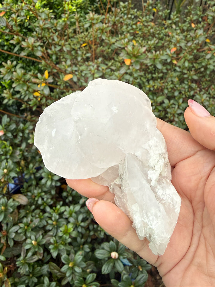 UV Reactive Calcite Specimen from Fujian