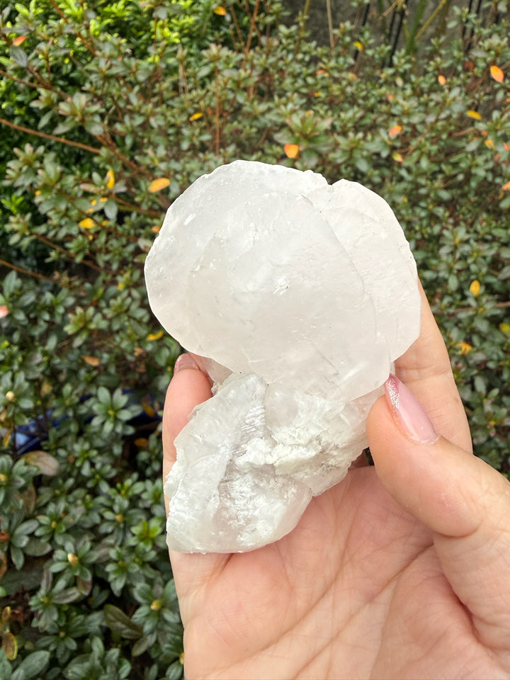 UV Reactive Calcite Specimen from Fujian