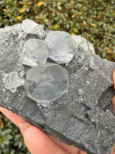 Load image into Gallery viewer, Clear Fluorite Specimen from Fujian China
