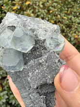 Load image into Gallery viewer, Clear Fluorite Specimen from Fujian China
