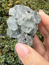 Load image into Gallery viewer, Clear Fluorite Specimen from Fujian China
