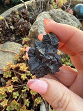 Load image into Gallery viewer, Prophecy Stone Specimen from Egypt
