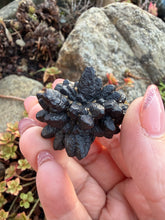 Load image into Gallery viewer, Large Prophecy Stone Specimen from Egypt
