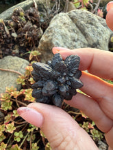 Load image into Gallery viewer, Large Prophecy Stone Specimen from Egypt
