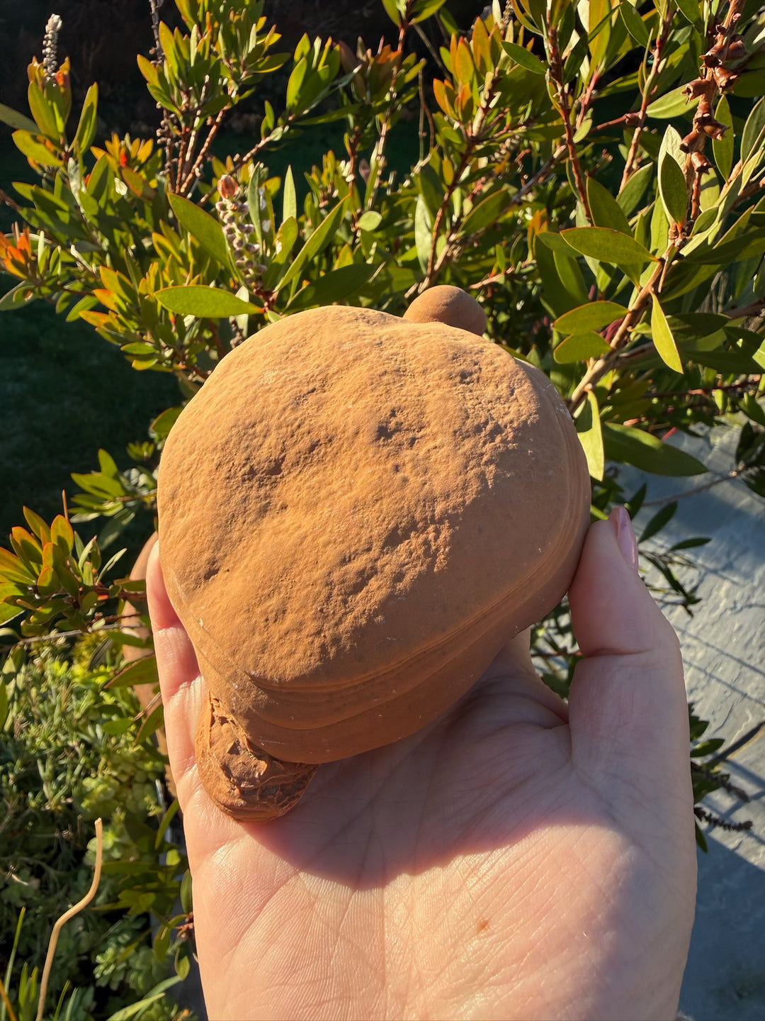 Large Pottery Stone Sandstone Specimen from Wenshan China