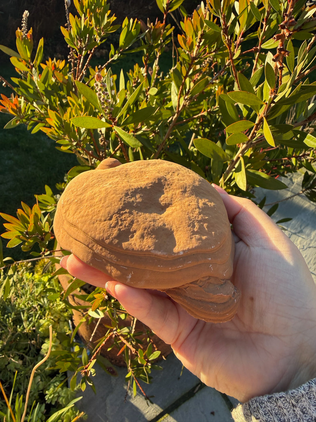 Large Pottery Stone Sandstone Specimen from Wenshan China