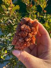 Load image into Gallery viewer, Red Calcite and Honey Calcite Specimen
