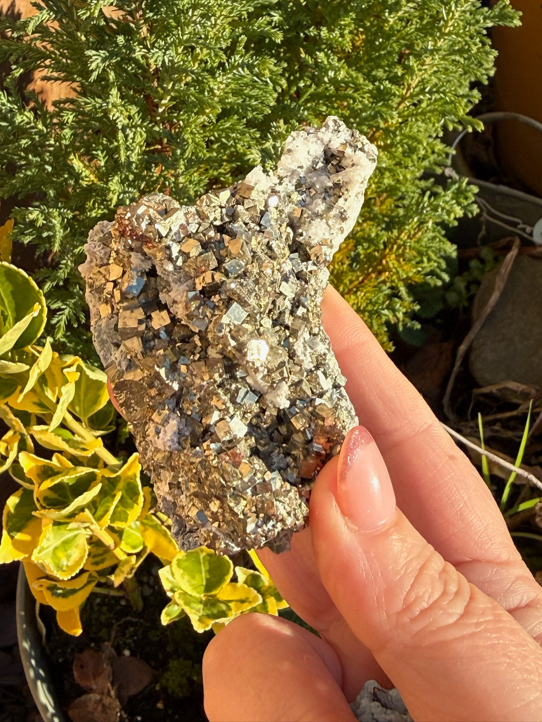 Cubic Pyrite and Quartz Specimen from Shangbao