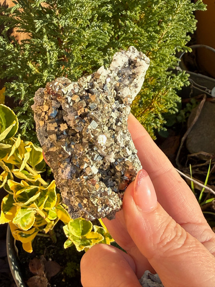 Cubic Pyrite and Quartz Specimen from Shangbao