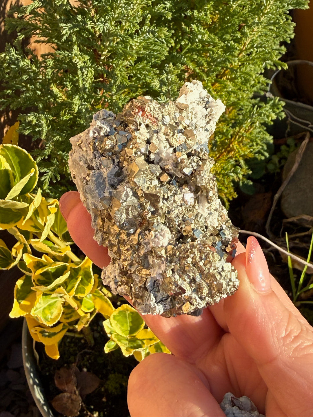 Cubic Pyrite and Quartz Specimen from Shangbao