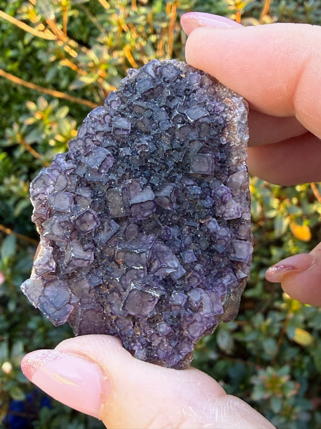 Purple Fluorite Specimen with Zoning from Guizhou