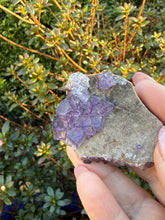 Load image into Gallery viewer, Purple Fluorite Specimen with Zoning from Guizhou
