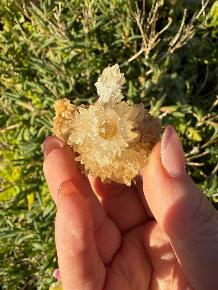 Unusual Stalactite Calcite Specimen