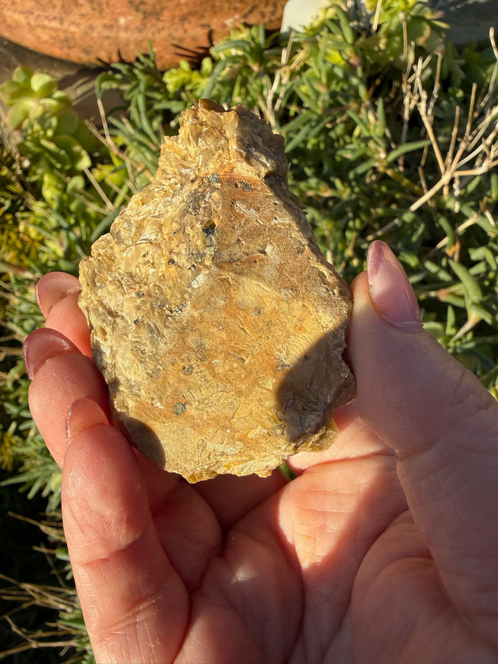 Siderite and Dolomite Specimen