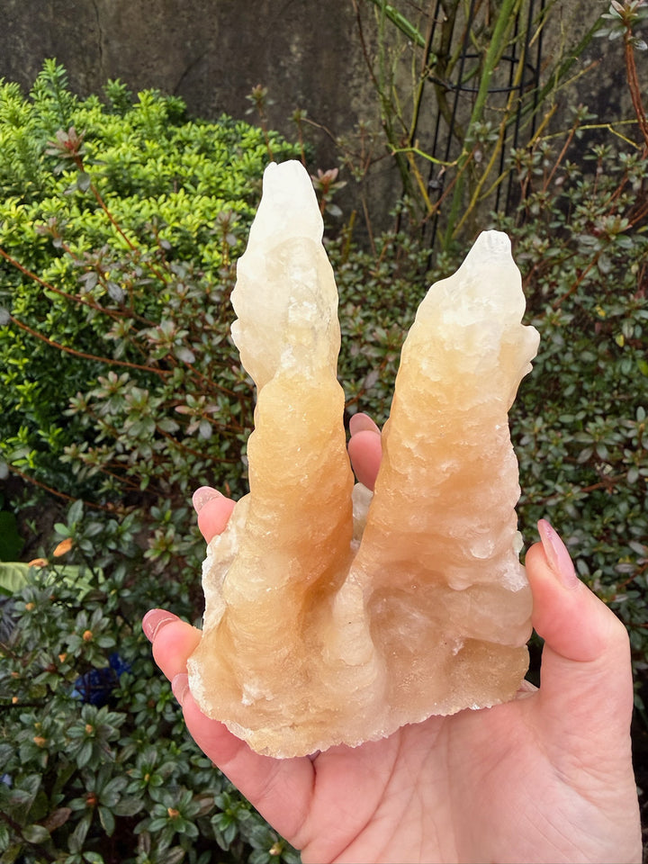 Calcite Stalactite Specimen from Wenshan