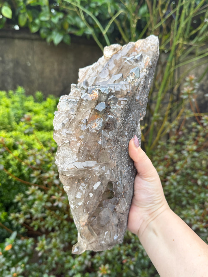 Statement Elestial Crocodile Smoky Quartz Cluster