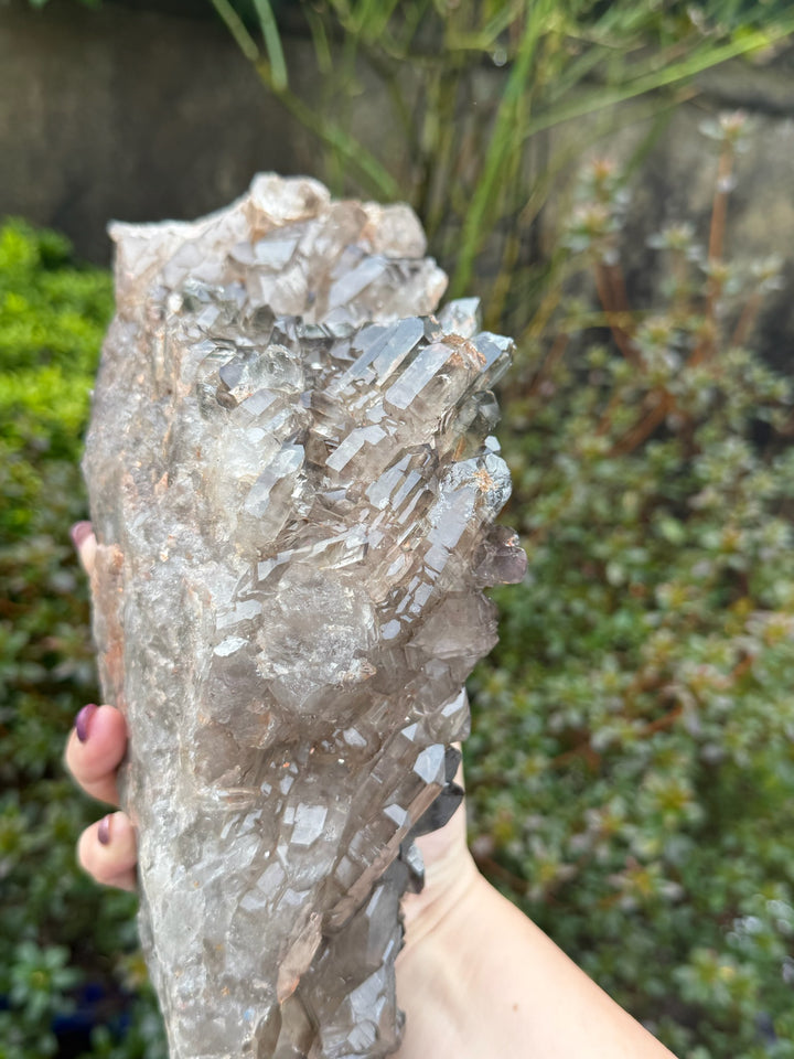 Statement Elestial Crocodile Smoky Quartz Cluster