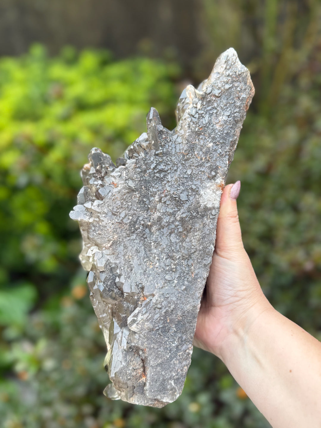 Statement Elestial Crocodile Smoky Quartz Cluster