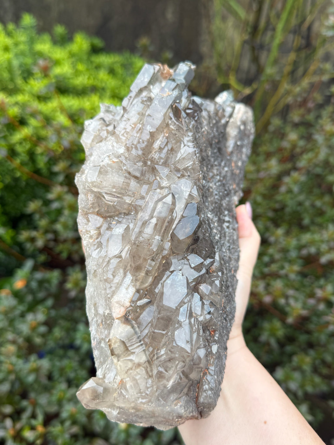 Statement Elestial Crocodile Smoky Quartz Cluster