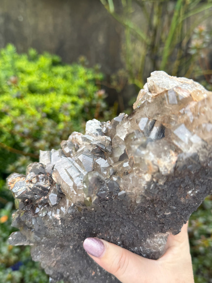 Statement Elestial Crocodile Smoky Quartz Cluster