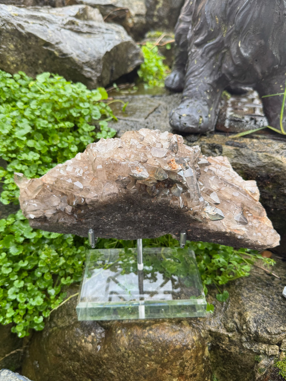 Statement Elestial Crocodile Smoky Quartz Cluster