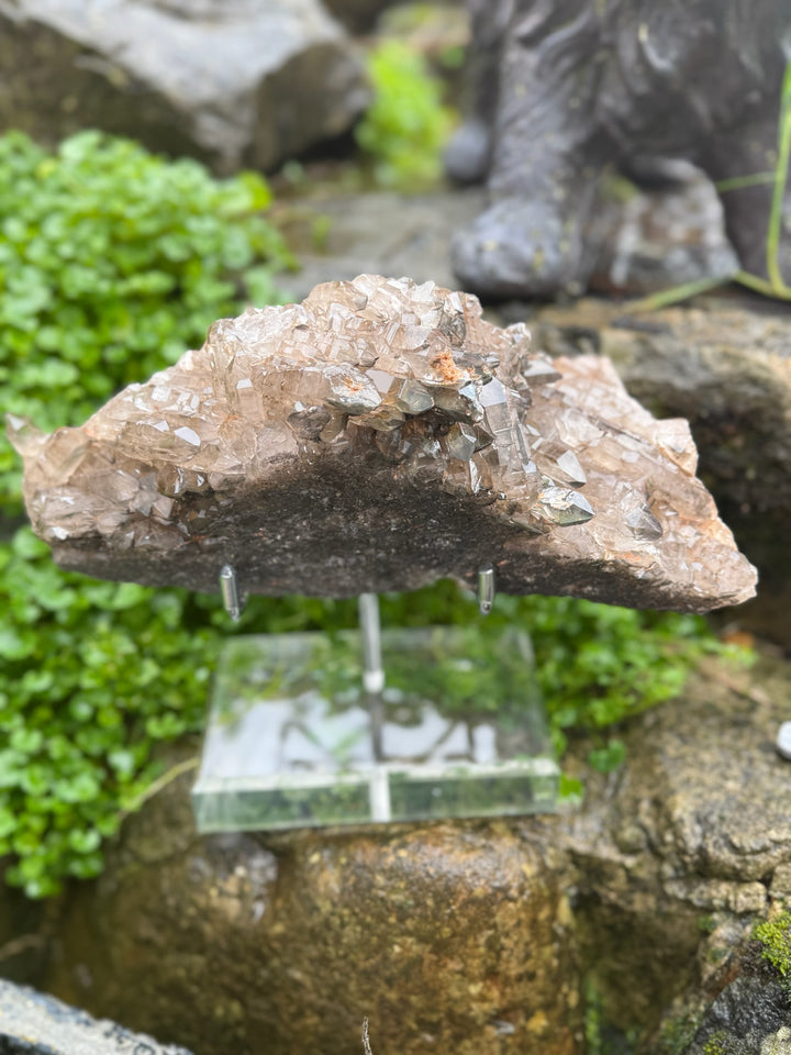 Statement Elestial Crocodile Smoky Quartz Cluster
