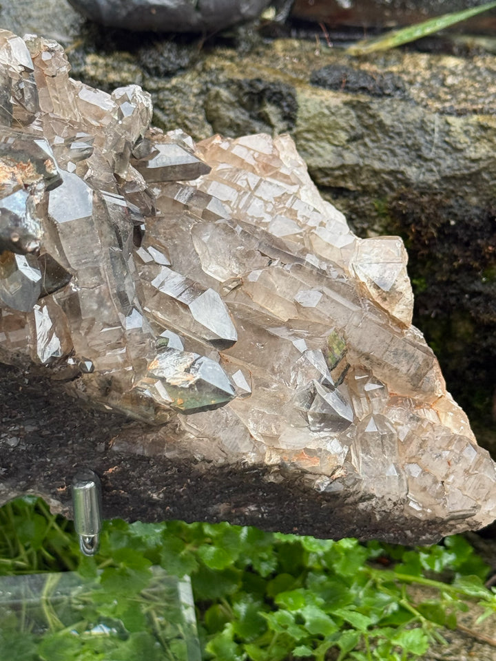 Statement Elestial Crocodile Smoky Quartz Cluster