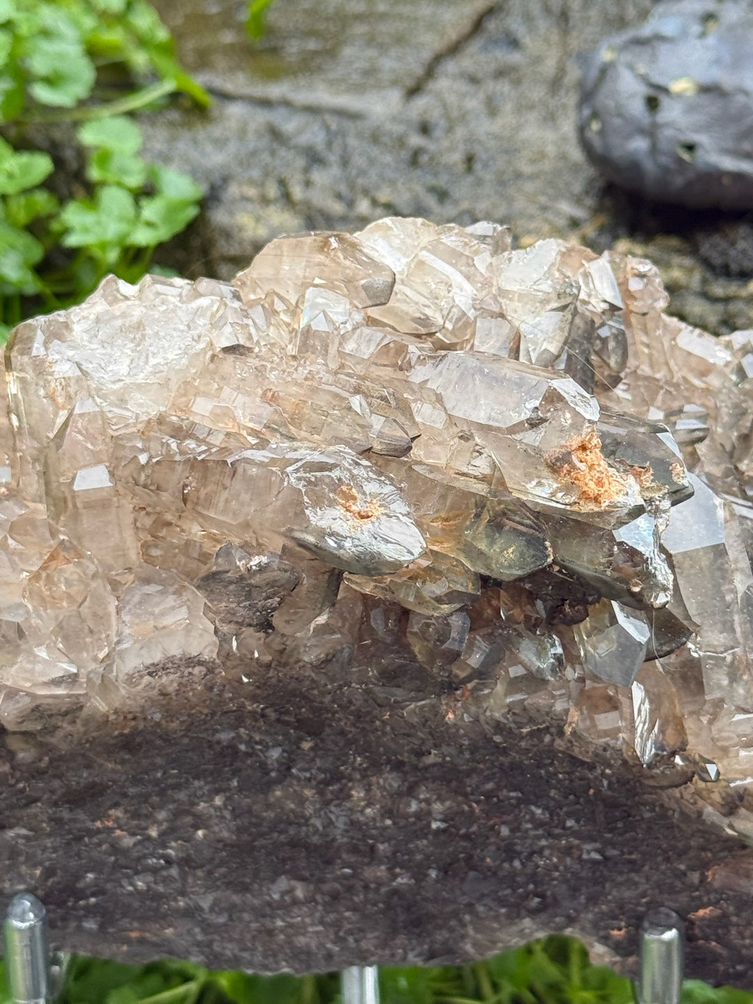 Statement Elestial Crocodile Smoky Quartz Cluster