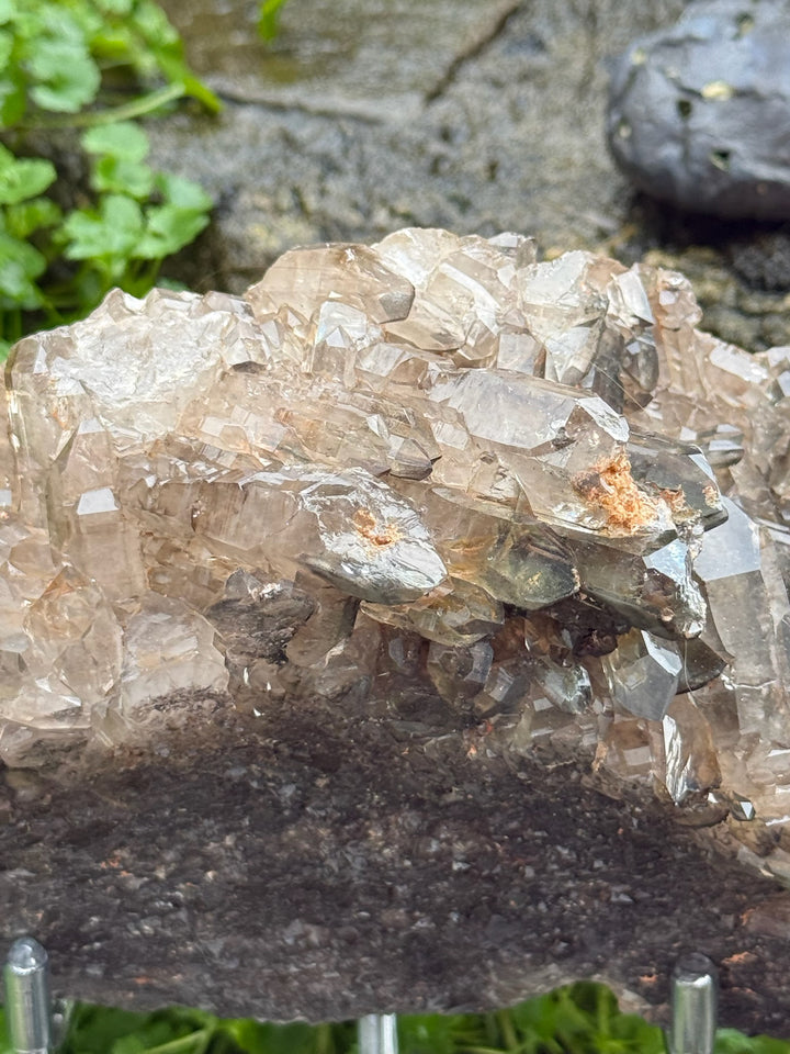 Statement Elestial Crocodile Smoky Quartz Cluster