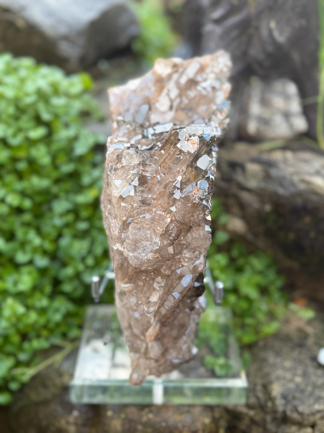 Statement Elestial Crocodile Smoky Quartz Cluster