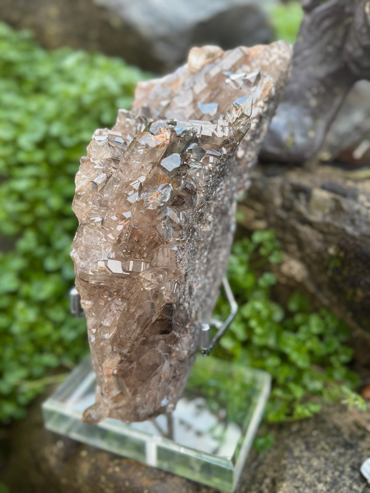 Statement Elestial Crocodile Smoky Quartz Cluster