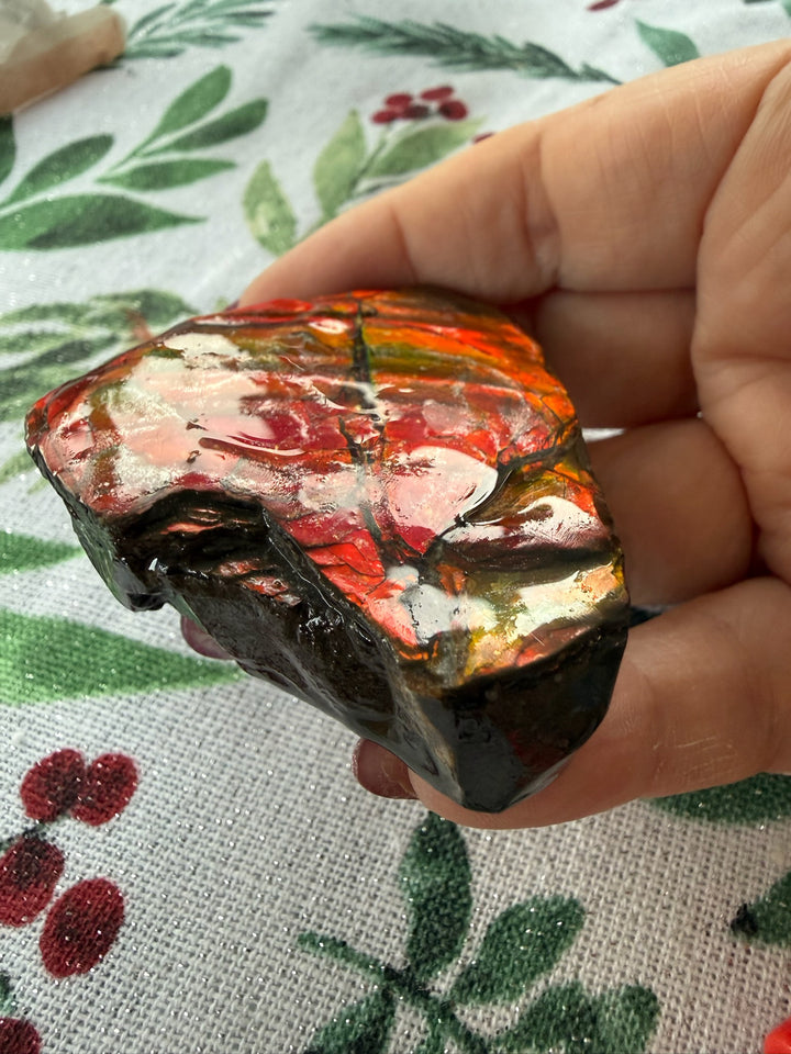 RESERVED Large Red Ammolite Specimen
