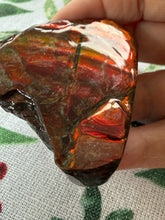 Load image into Gallery viewer, Large Red Ammolite Specimen
