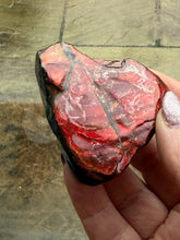 Load image into Gallery viewer, Large Red Ammolite Specimen
